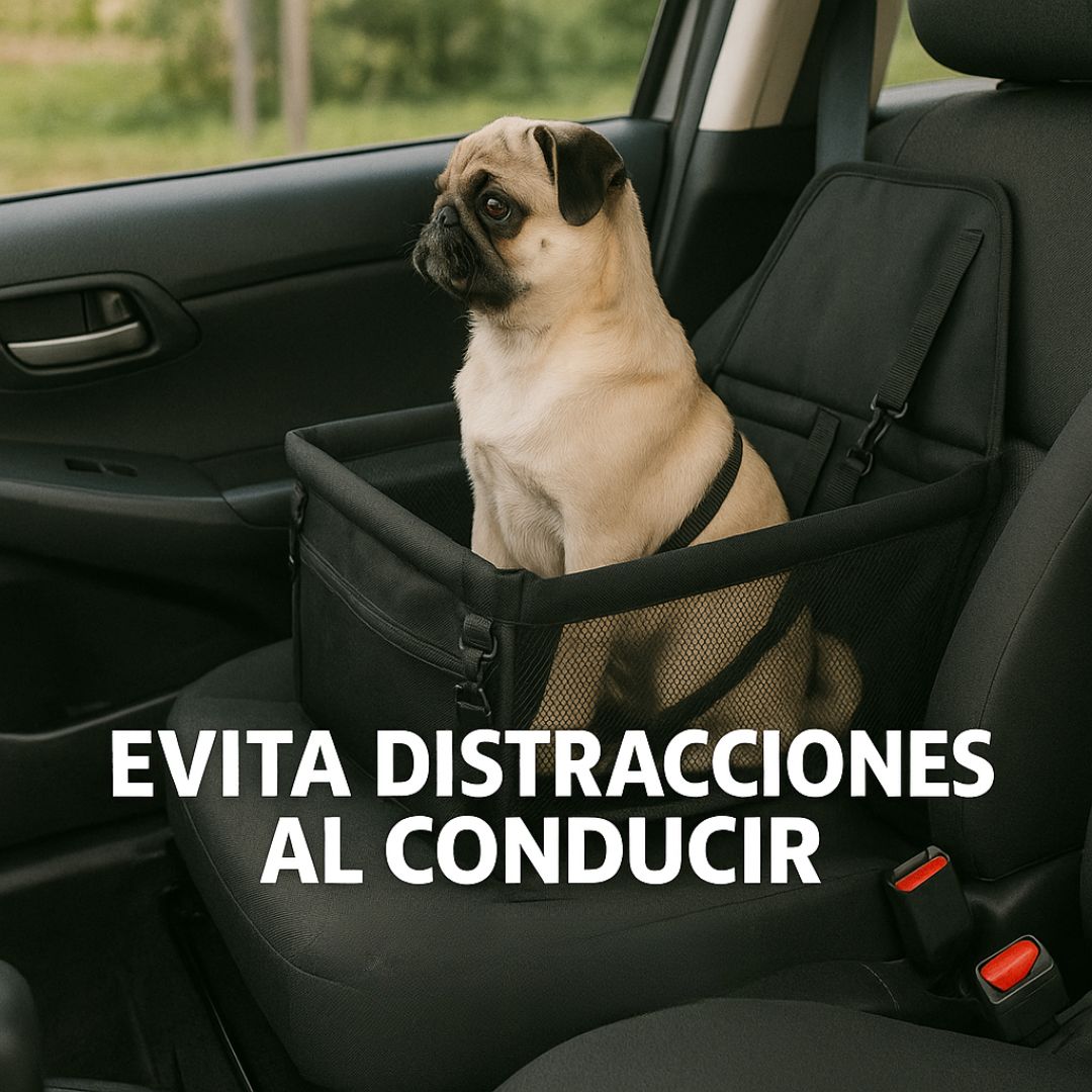 Tu perro seguro y cómodo en el carro - BOLSO DE MASCOTAS PARA CARRO.